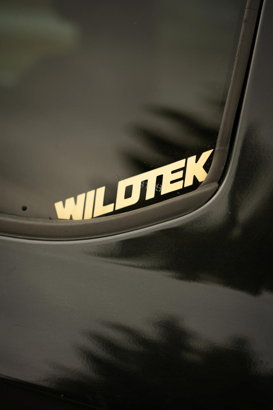 Collants WILDTEK