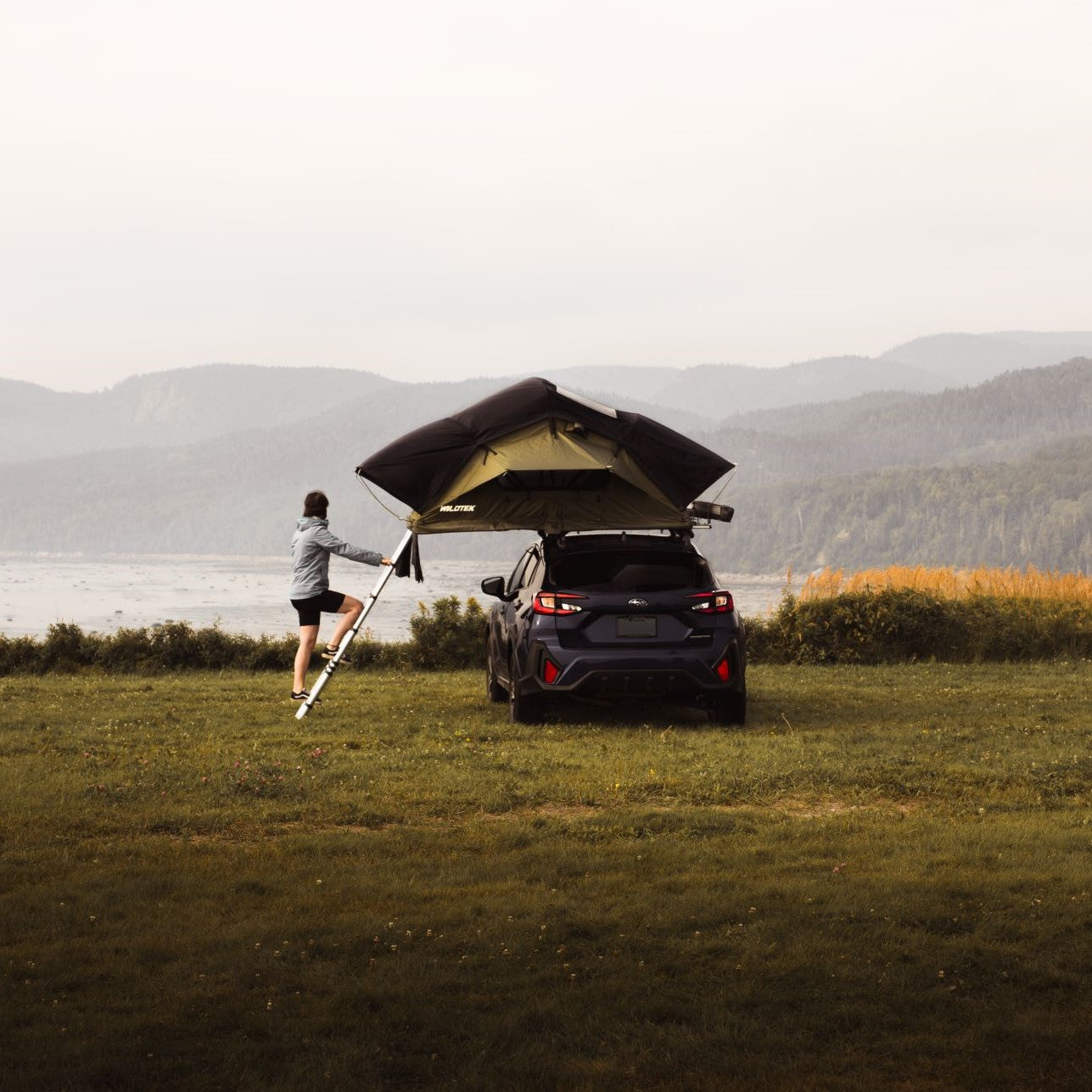 テント・タープ 4WD & Camping Drifta - tent top Roof 1.8m Explorer Summit Wildland Breeze\" \"Wild Tyvek DESIGNS TAIL HIGH テント・タープ